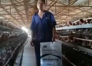 原保軍在河南安陽(yáng)為益農(nóng)蛋雞預(yù)混料代言！